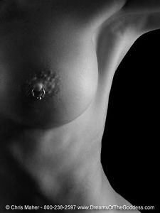 Nom de l'image : tiof9730685
